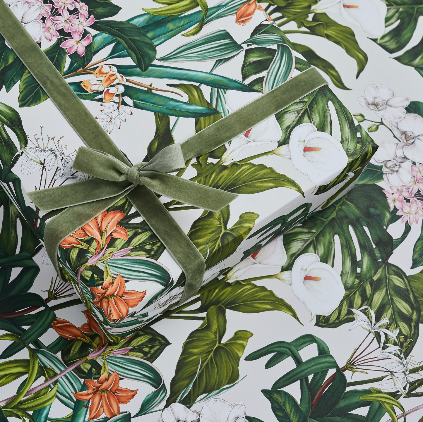 Palm House Tropics - Ivory - Gift Wrap