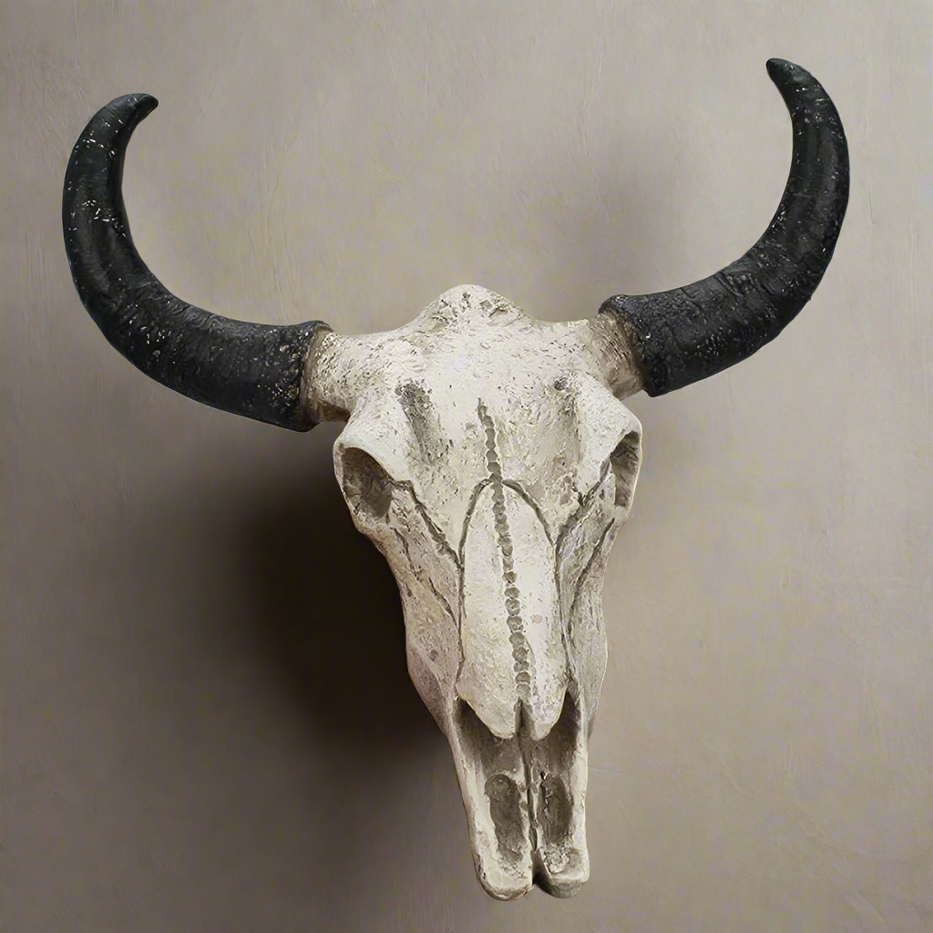 Resin Long Horn Cow Skull