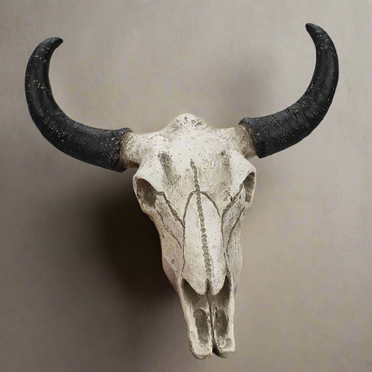Resin Long Horn Cow Skull