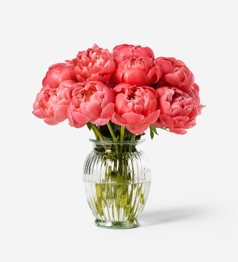 Peonies