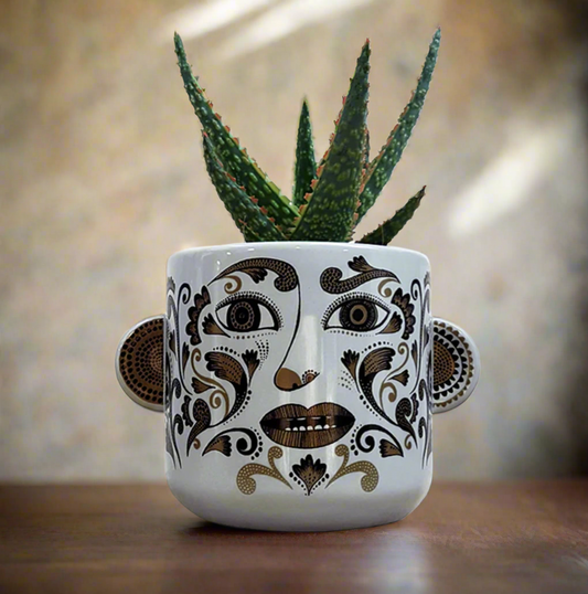 Clown Plant Pot