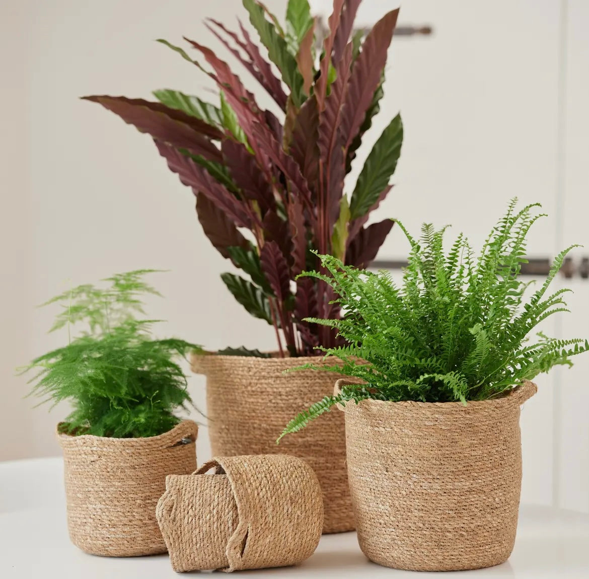 Jute Planter Basket