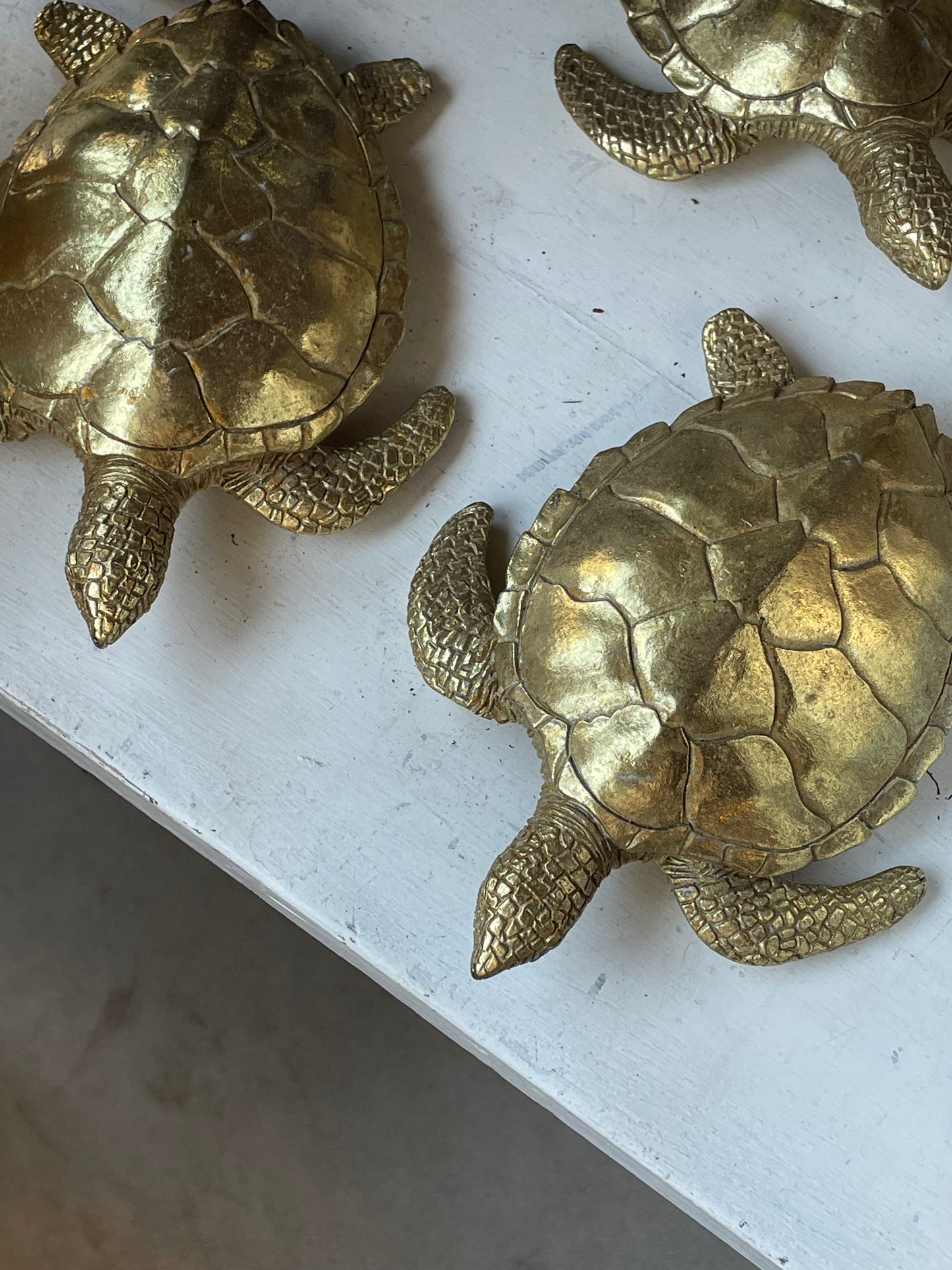 Gold Sea Turtle
