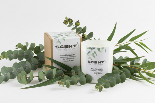 Blue Mountains | Peppermint and Eucalyptus Scented Candle