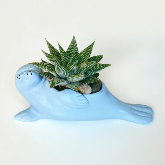 Seal Pup Planter
