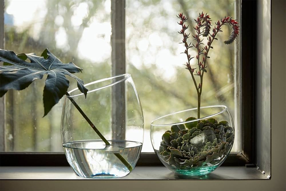 Glass Vase Terrarium