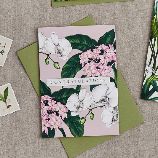 Palm House Tropics - Congratulations - Card