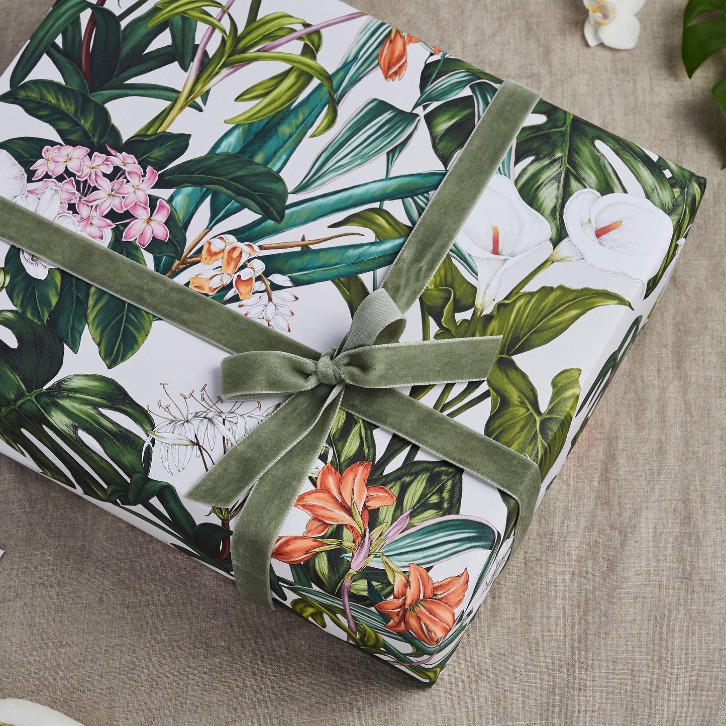 Palm House Tropics - Ivory - Gift Wrap