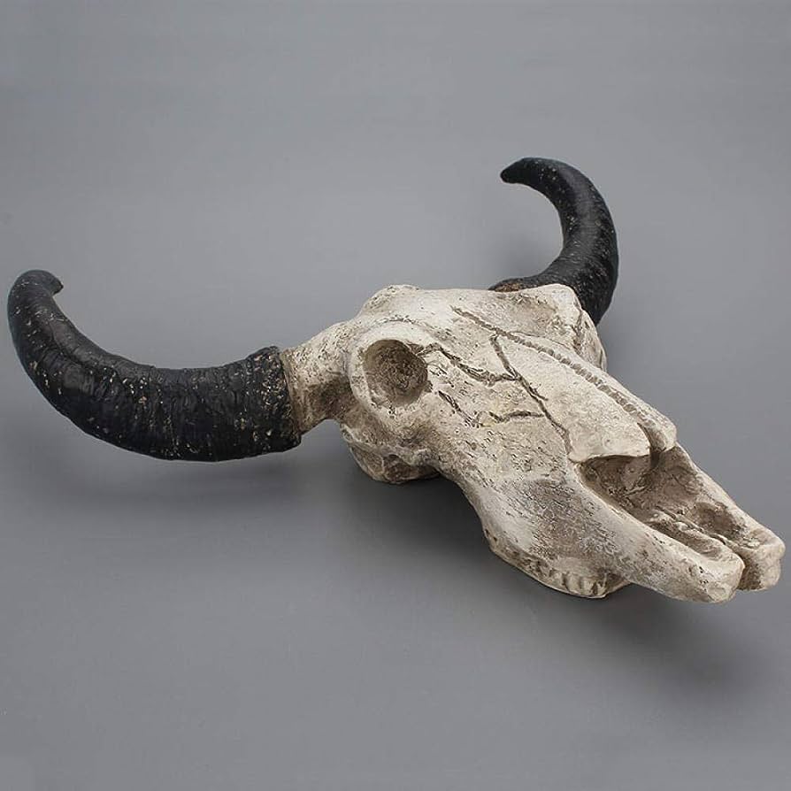 Resin Long Horn Cow Skull