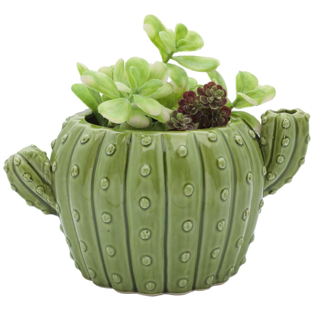 Green Cactus Planter
