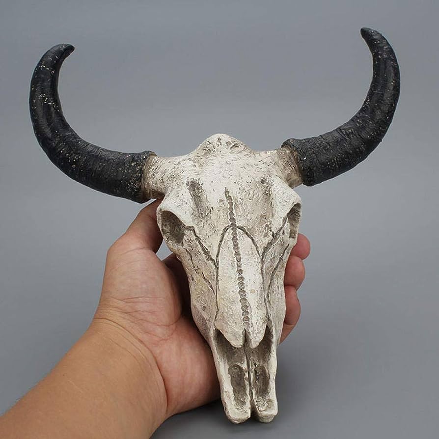Resin Long Horn Cow Skull