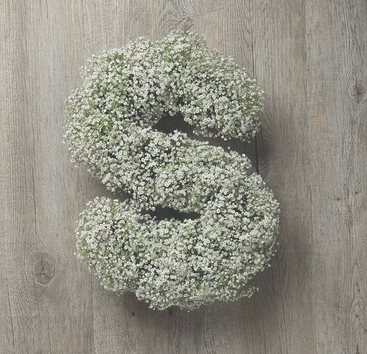 Gypsophila Letters
