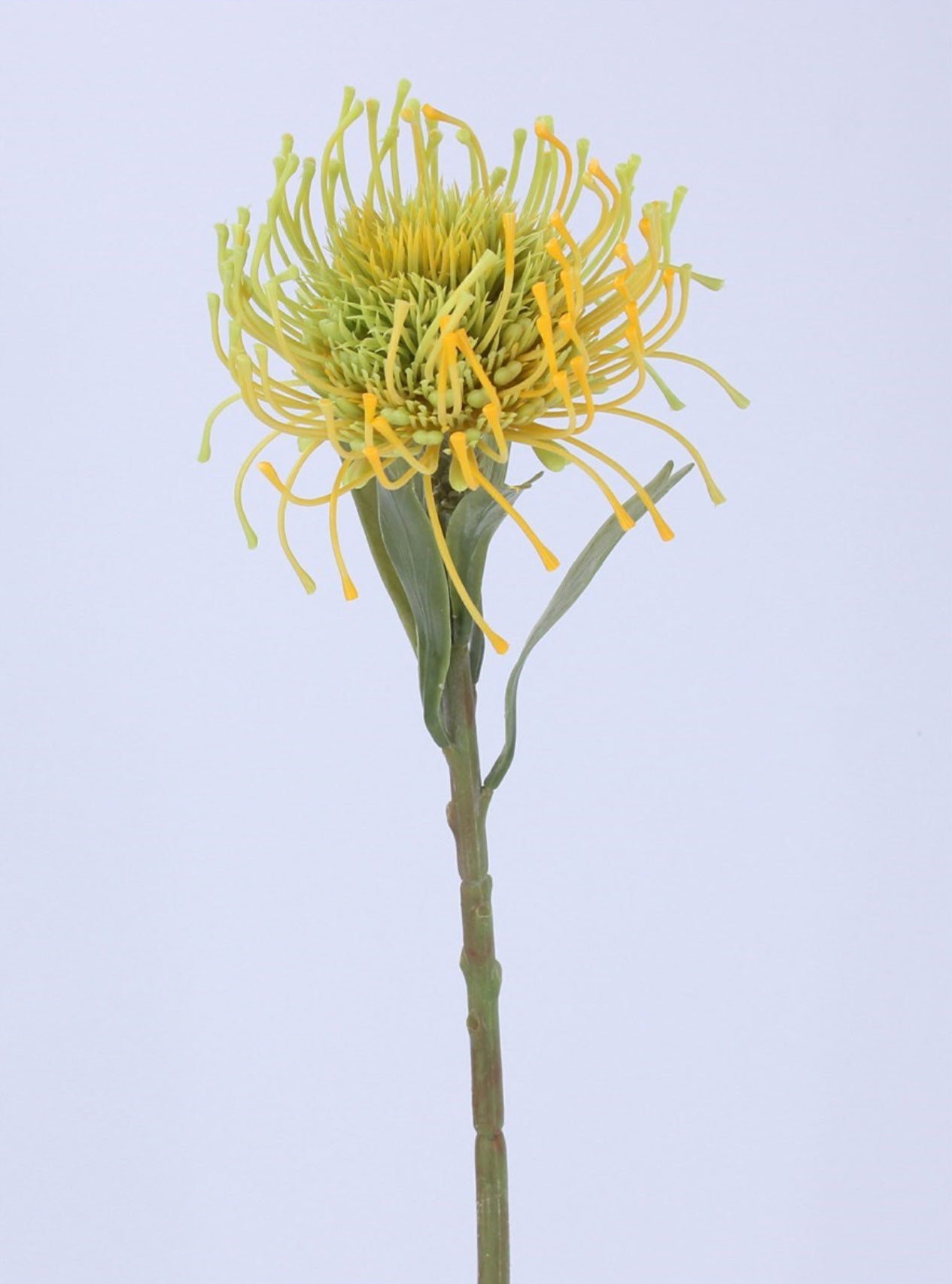 Faux Yellow Needle Protea Stem