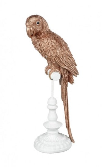 rose gold parrot standing on a white perch