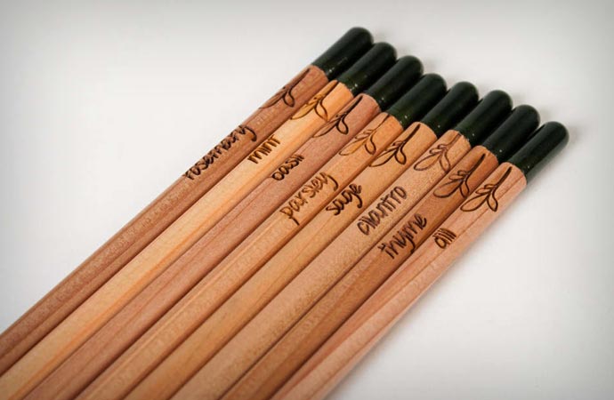 Plantable Pencil