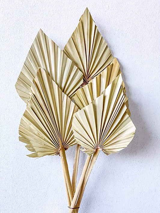 Dried Palm