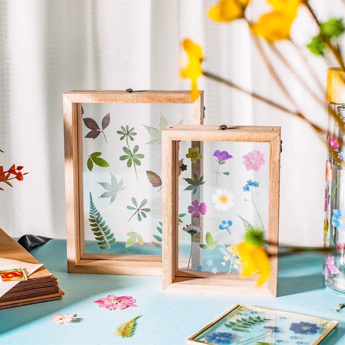 Herbarium Frame
