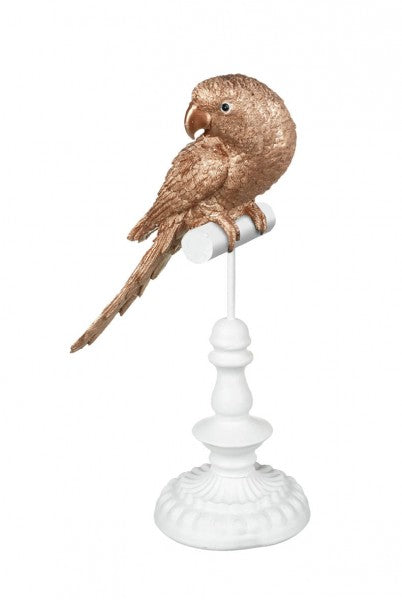 rose gold parrot turning its head on a white perch