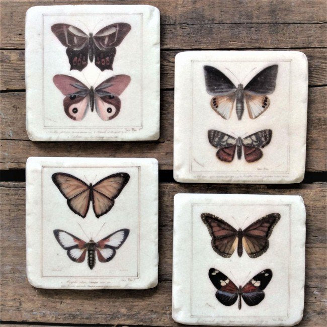 Butterfly Coasters