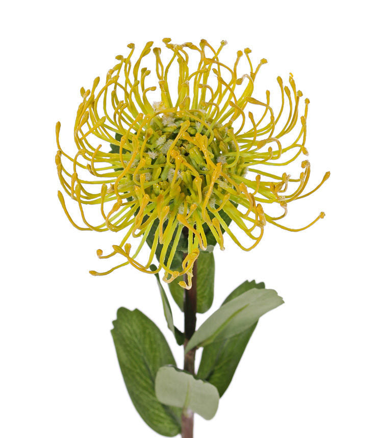 Faux Yellow Needle Protea Stem