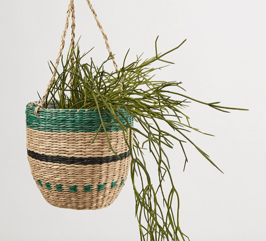 Seagrass hanging pot