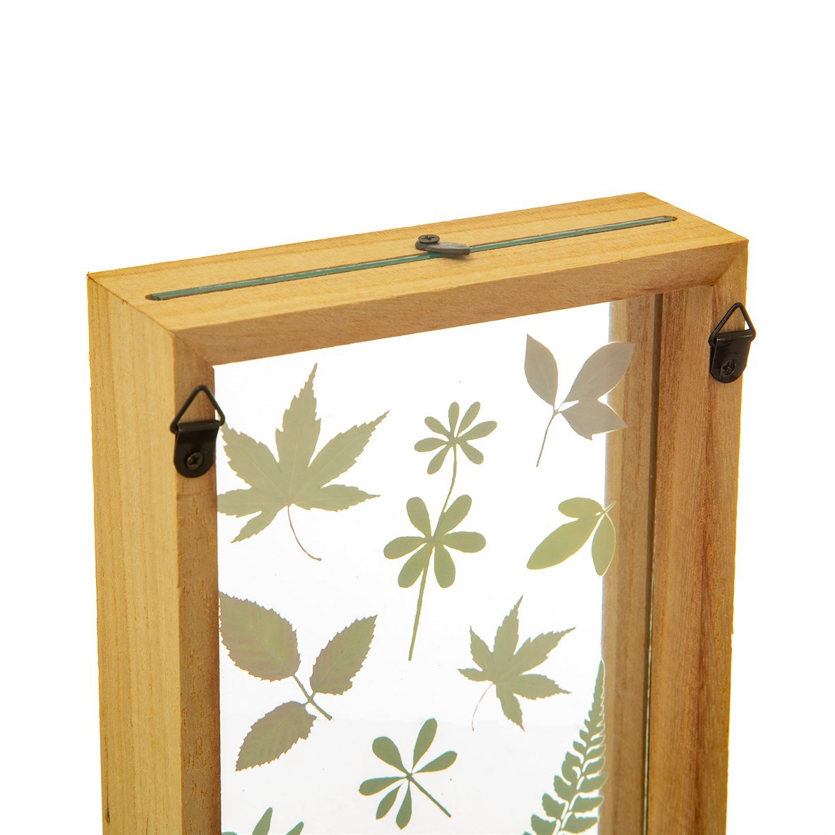Herbarium Frame
