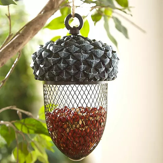 Acorn Bird Feeders