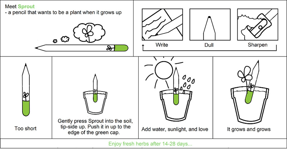 Plantable Pencil