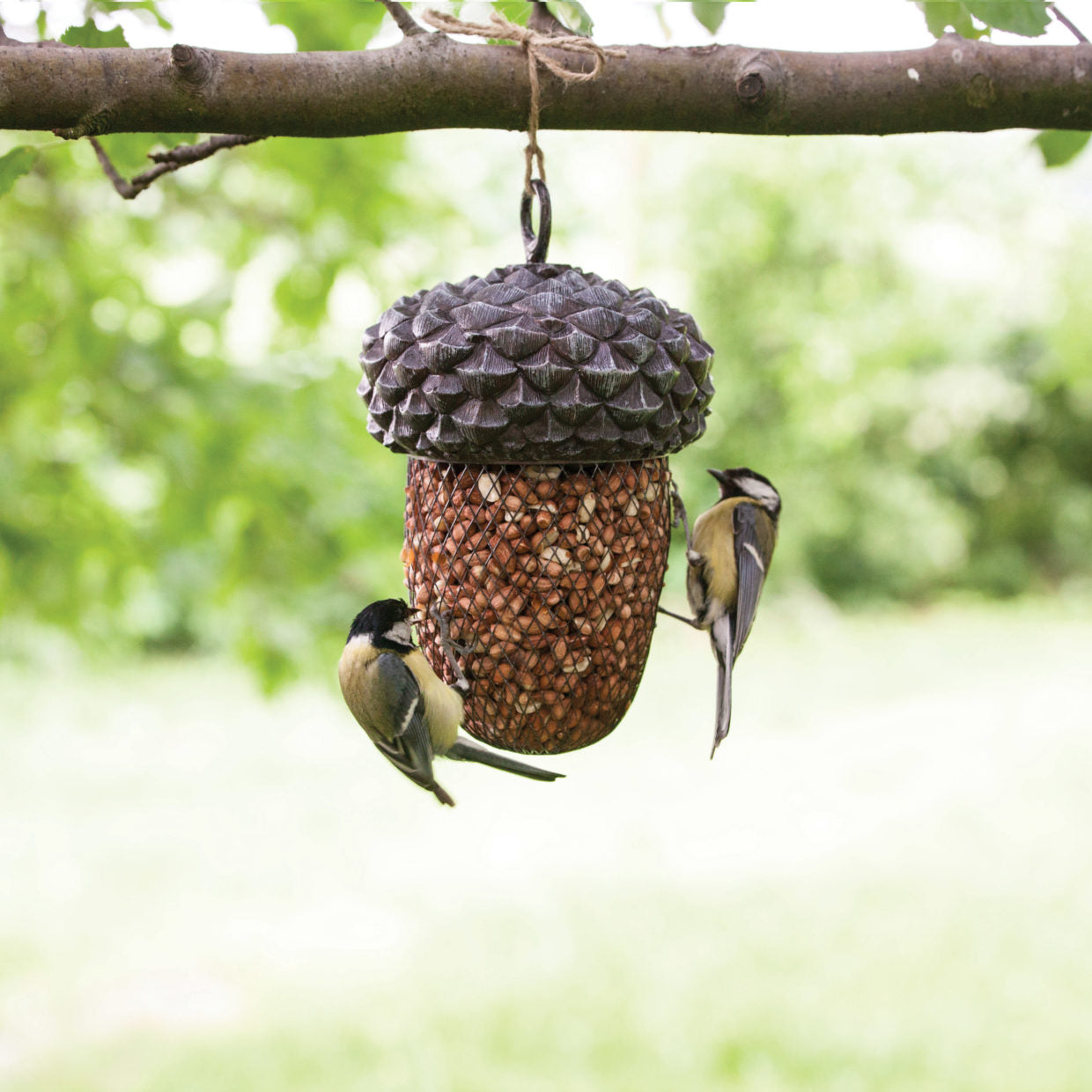 Acorn Bird Feeders