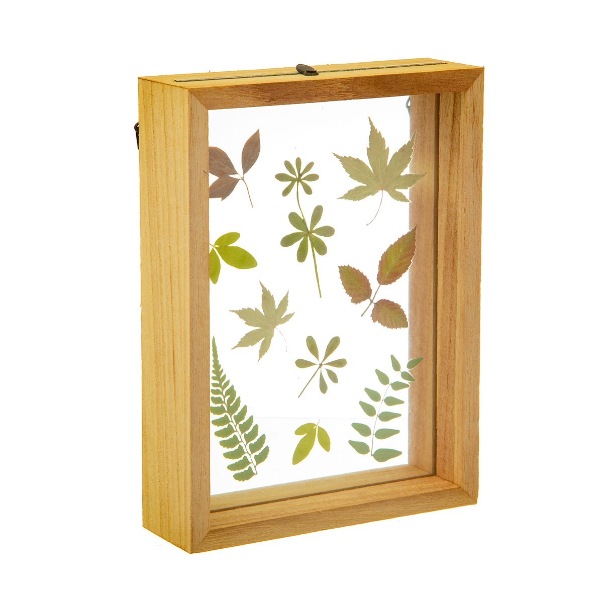 Herbarium Frame