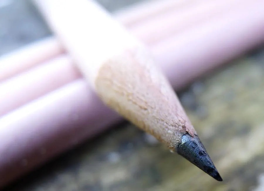 Plantable Pencil