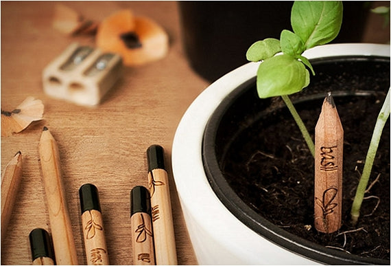 Plantable Pencil