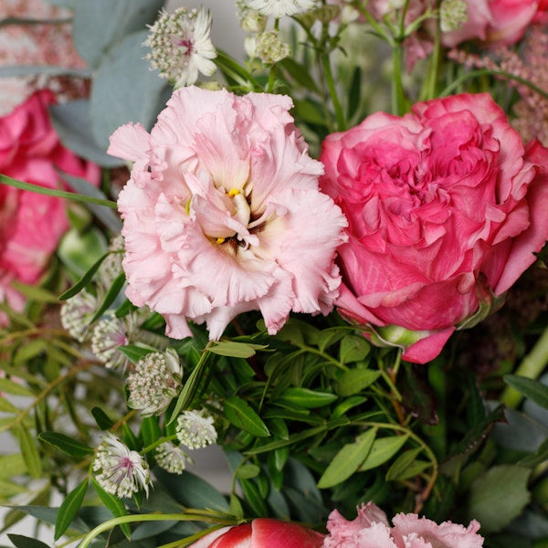 Pink Panther Bouquet