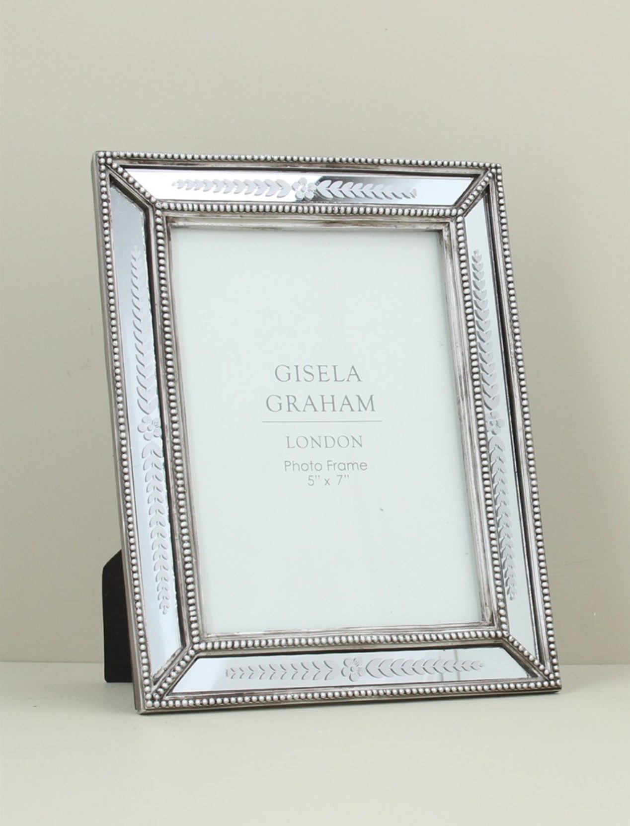 Silver Etched Mirror Glass Picture Photo Frame 8”x10”