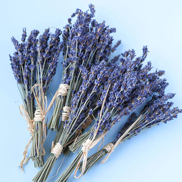 Mini Lavender Bouquet
