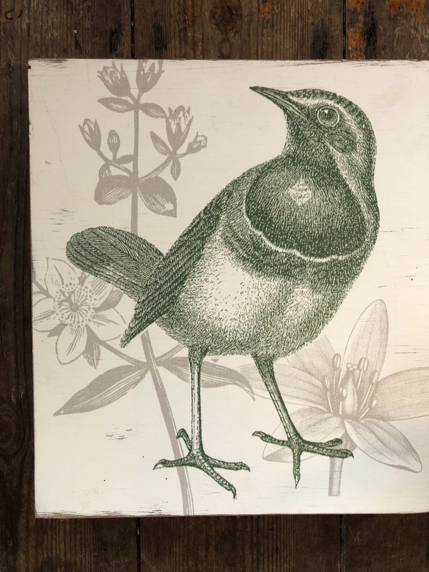 Botanical Bird Art