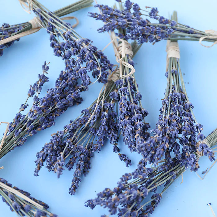 Mini Lavender Bouquet
