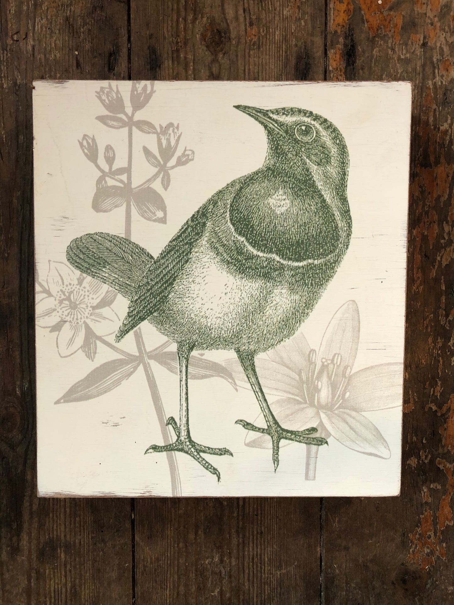 Botanical Bird Art