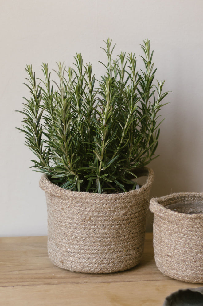 Jute Planter Basket