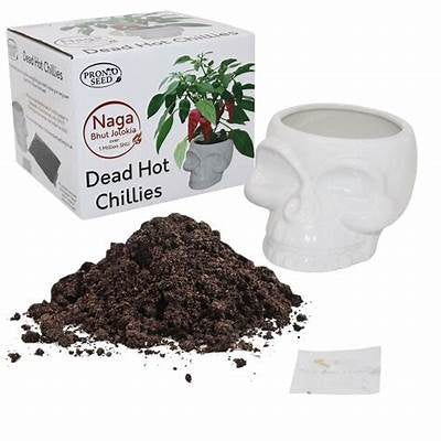 Dead Hot Chillies