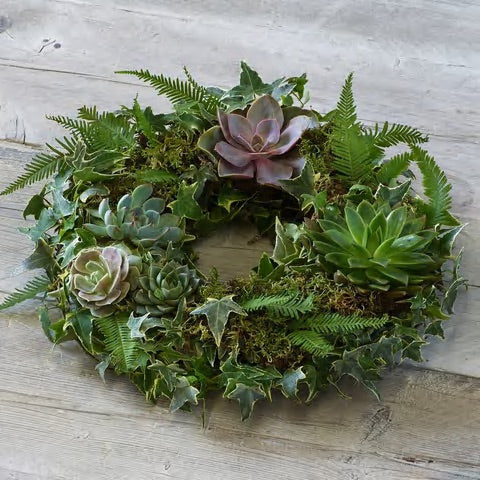 Living Succulent Wreath