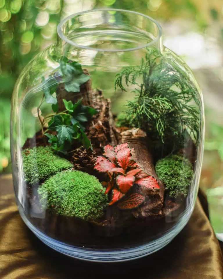 Glass Terrarium